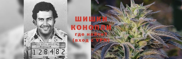 прущие грибы Алексин
