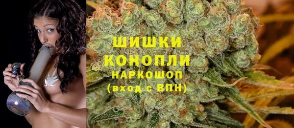 Альфа ПВП Семёнов