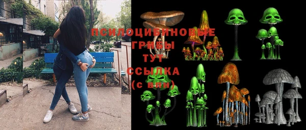 прущие грибы Алексин