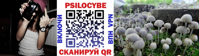 Псилоцибиновые грибы MAGIC MUSHROOMS  закладки  Дудинка 